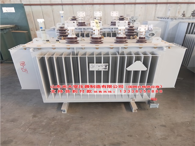 景德镇S13-4000KVA油浸式变压器现货定制加工