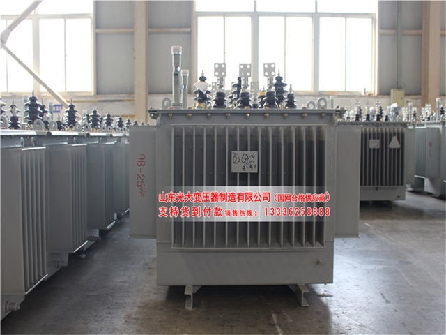 景德镇S22-4000KVA油浸式变压器